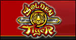 Golden Tiger