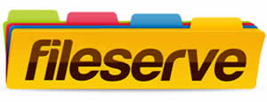 Fileserve Logo