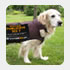 pub chien
